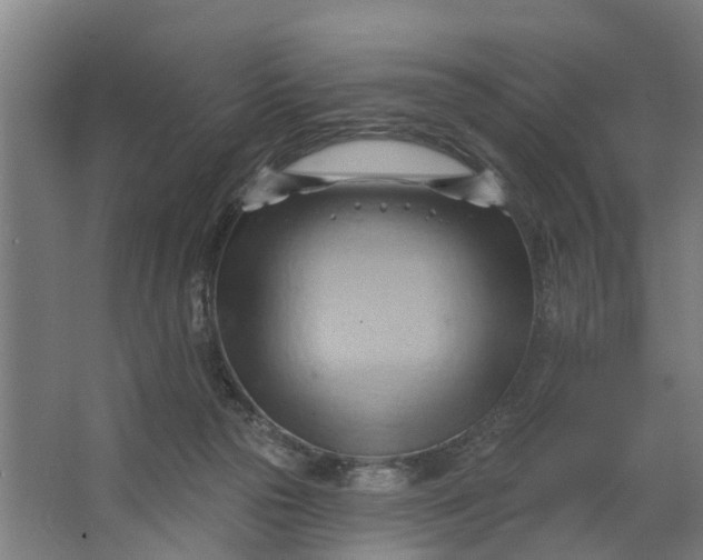 X0000062910169200601271749