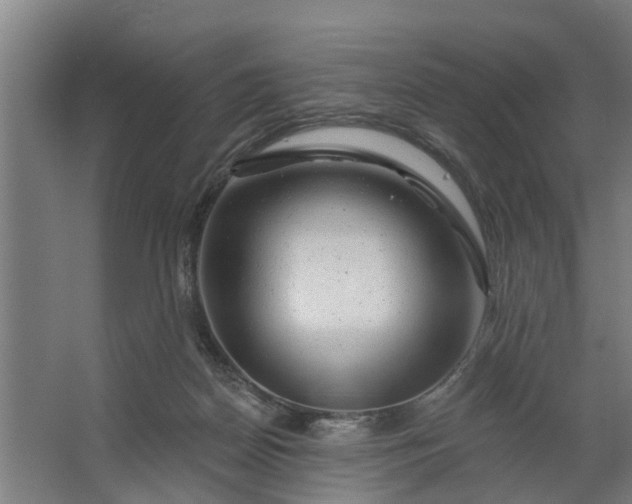 X0000062910170200601271749