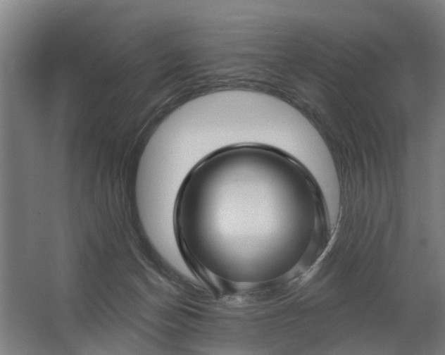 X0000062910174200601271749