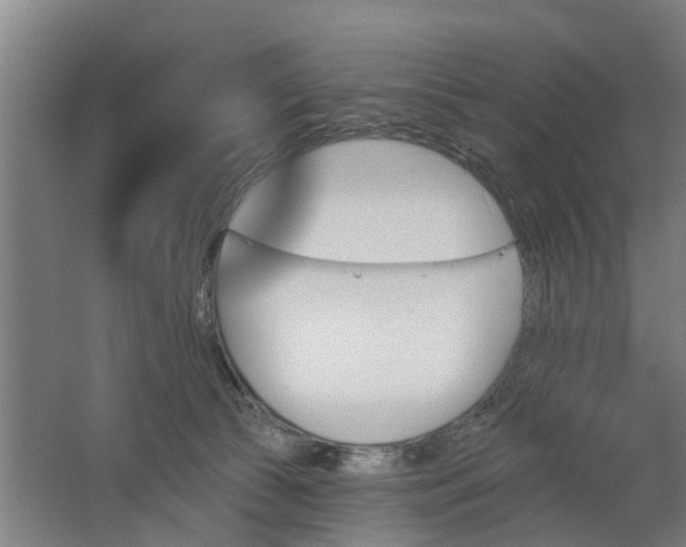 X0000062910177200601271749