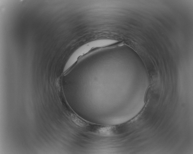 X0000062910178200601271749