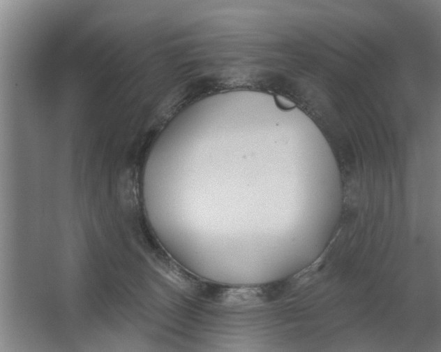 X0000062910179200601271749