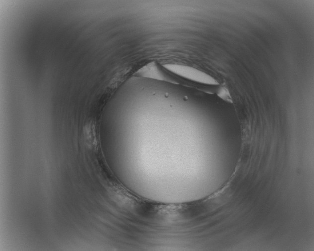 X0000062910182200601271749