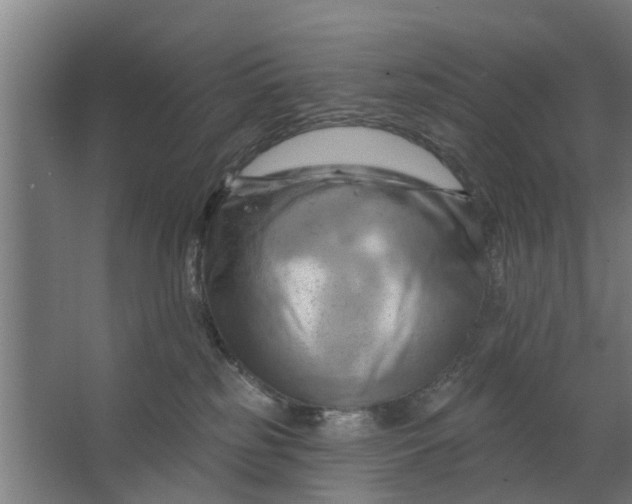 X0000062910185200601271749