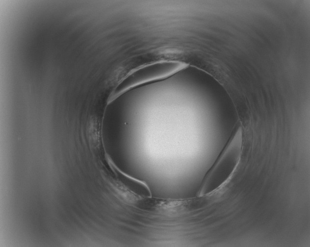 X0000062910186200601271749