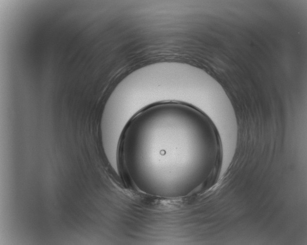 X0000062910188200601271749