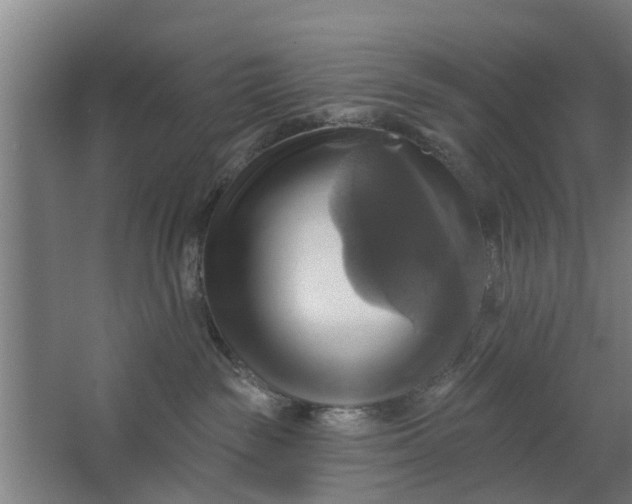 X0000062910189200601271749