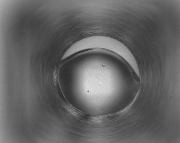 X0000062910190200601271749