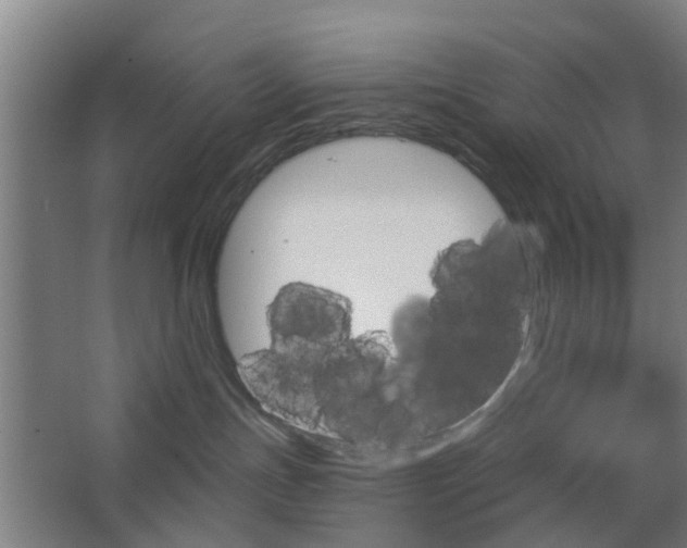 X0000062910191200601271749