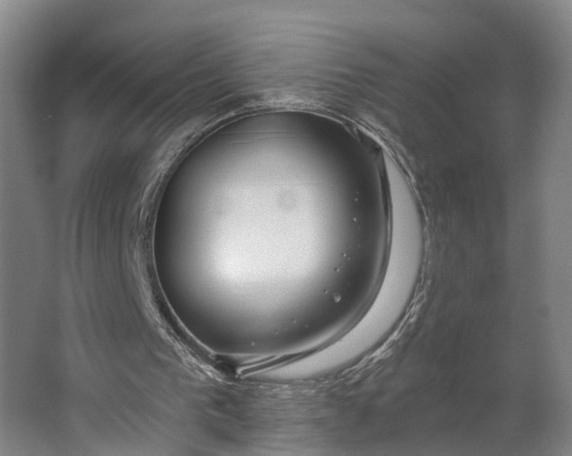 X0000062910193200601271748