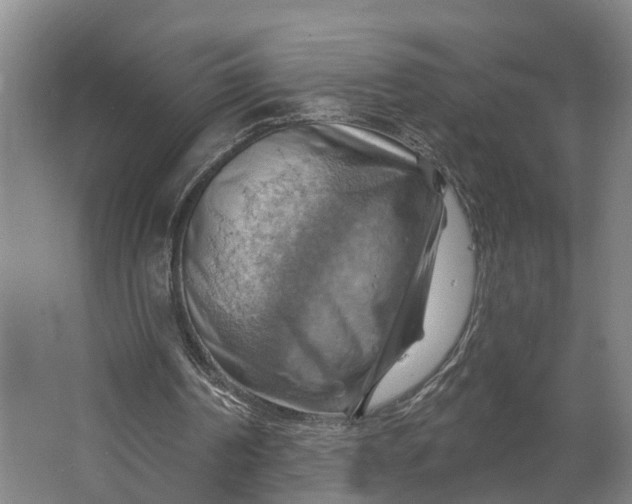 X0000062910194200601271748