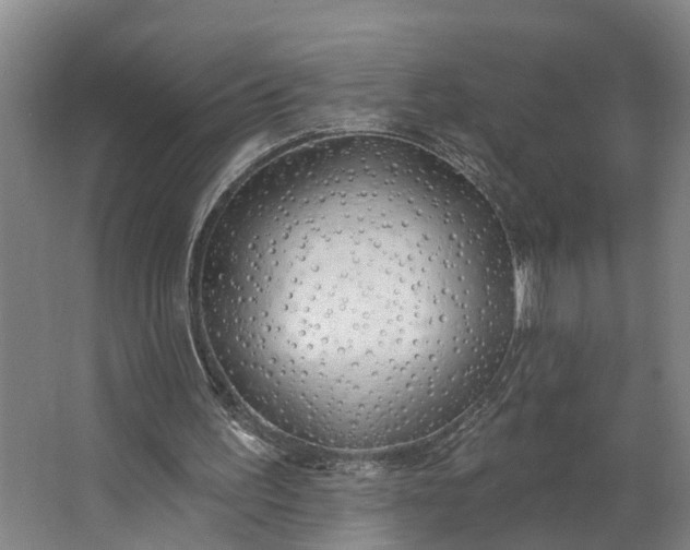 X0000062910195200601271748