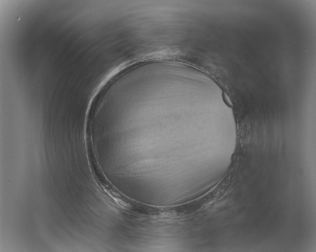 X0000062910196200601271748