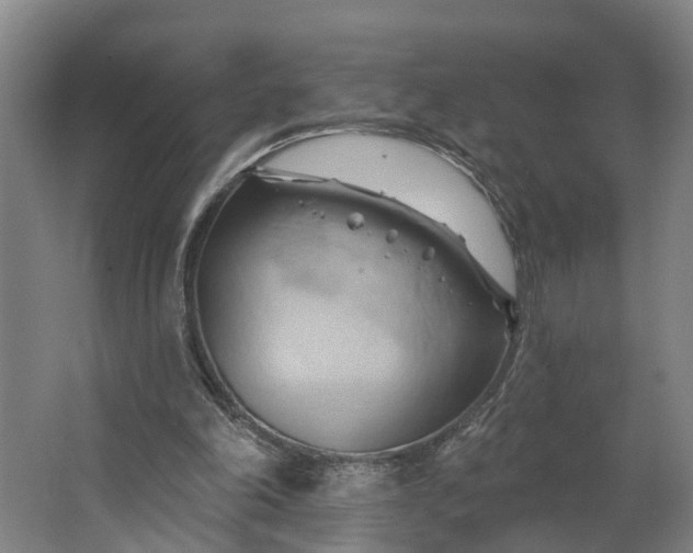 X0000062910198200601271748