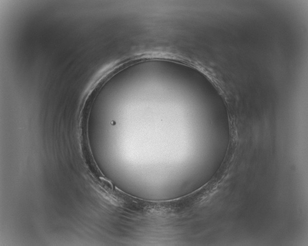 X0000062910199200601271748