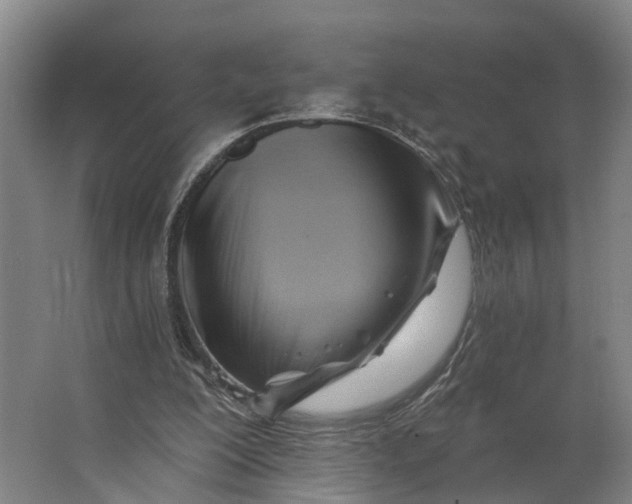 X0000062910200200601271748