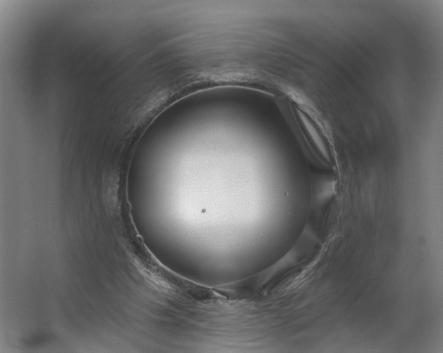 X0000062910201200601271748