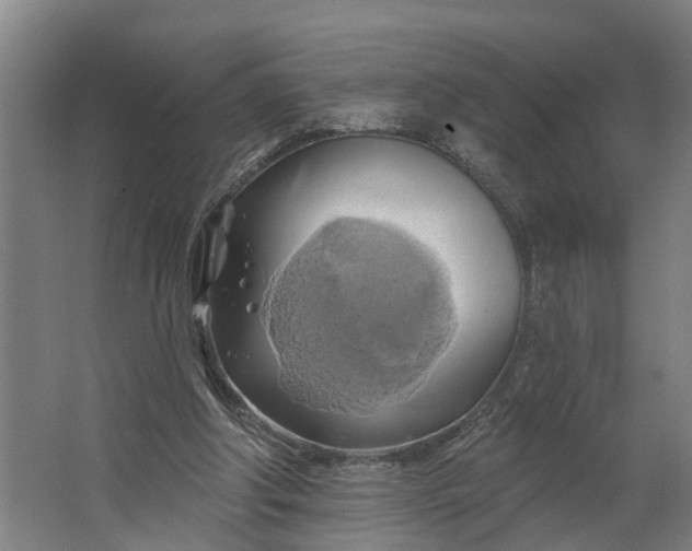 X0000062910202200601271748