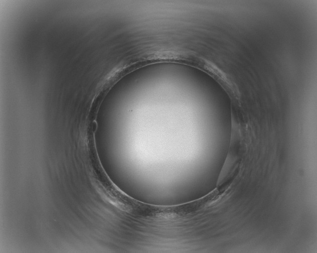 X0000062910203200601271748