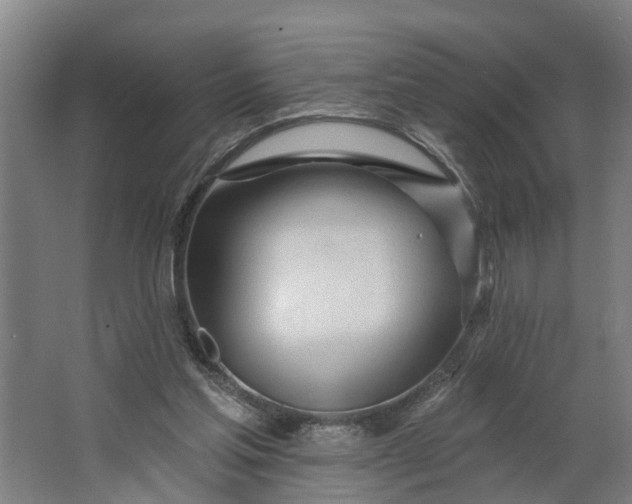 X0000062910205200601271748