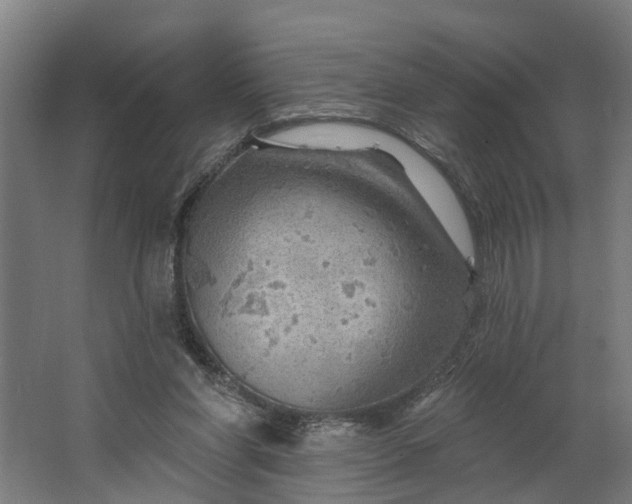 X0000062910206200601271748