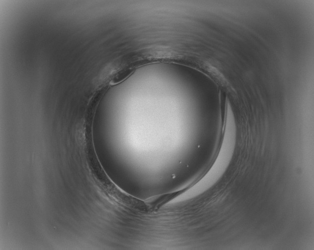 X0000062910207200601271748