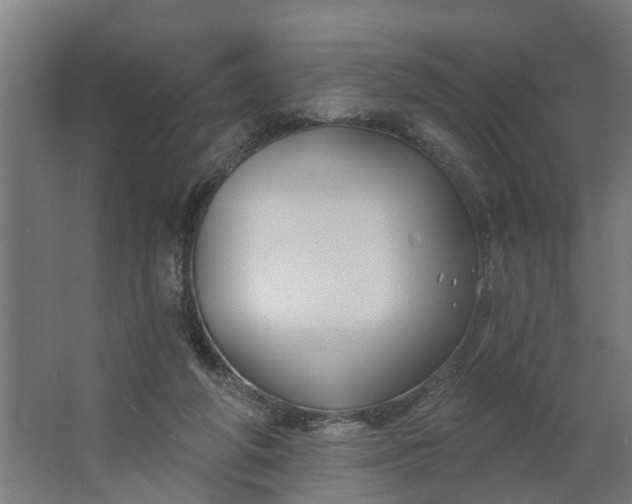 X0000062910210200601271748