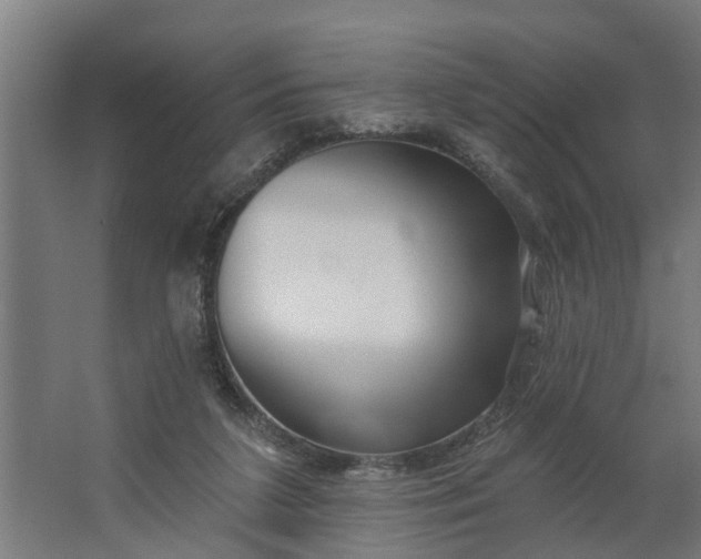 X0000062910211200601271748