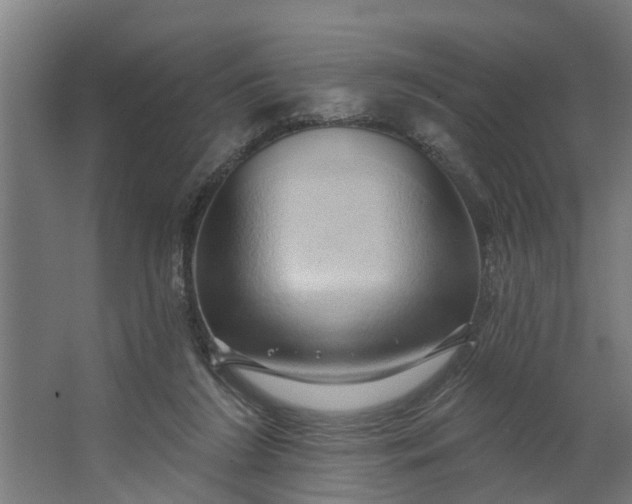 X0000062910212200601271748