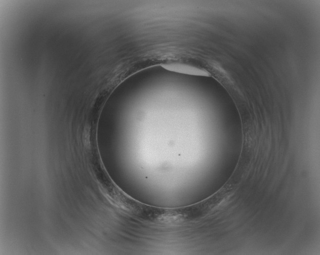 X0000062910213200601271748