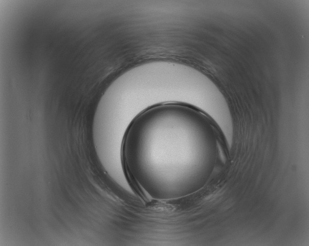 X0000062910215200601271748