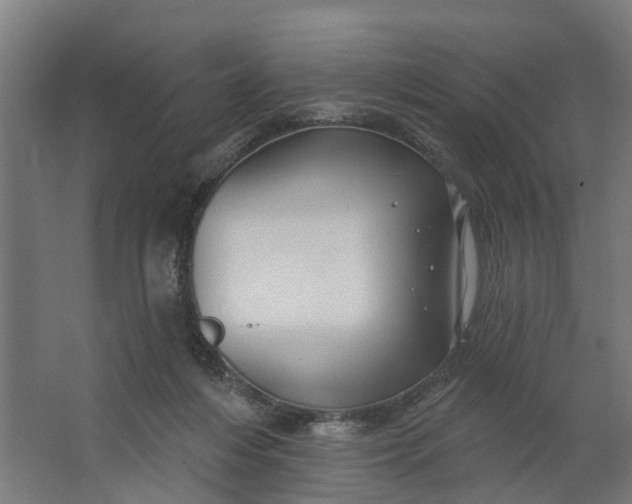 X0000062910216200601271748