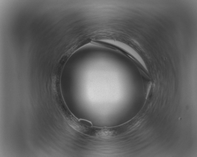 X0000062910217200601271748