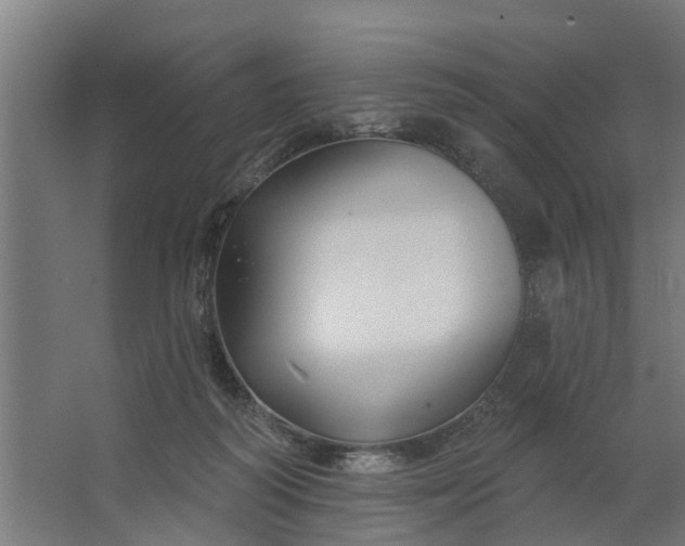 X0000062910218200601271748