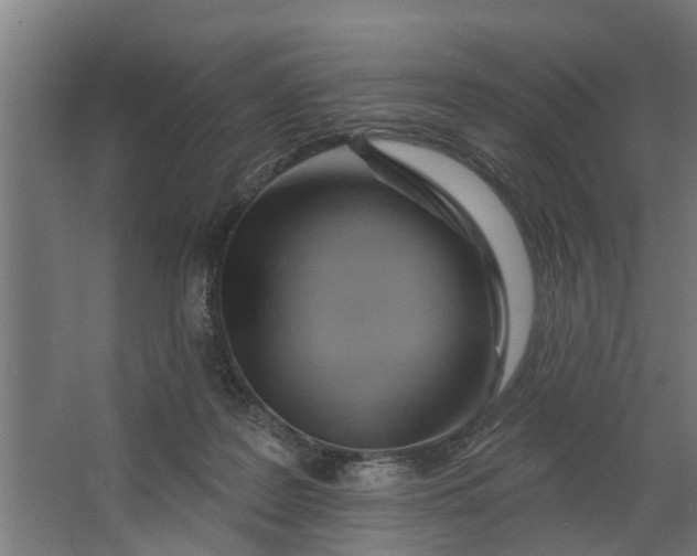 X0000062910219200601271748