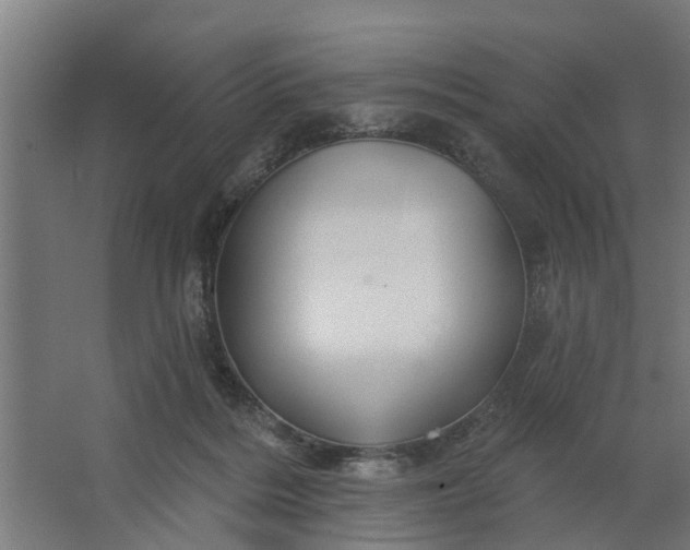 X0000062910220200601271748