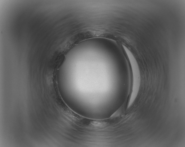 X0000062910221200601271748