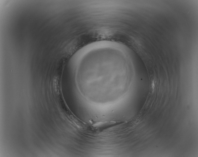 X0000062910222200601271748