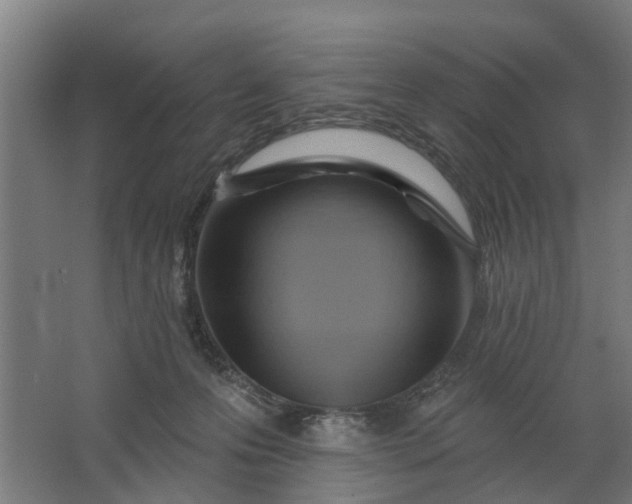 X0000062910223200601271748