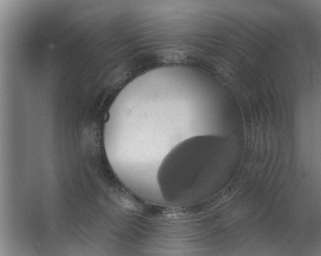 X0000062910228200601271748