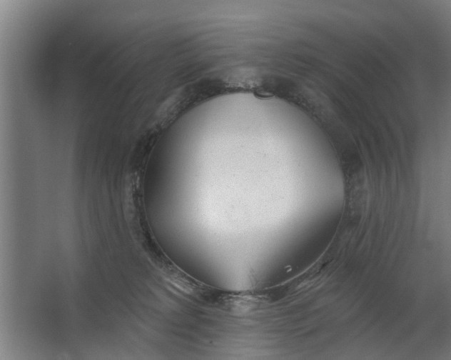 X0000062910229200601271748