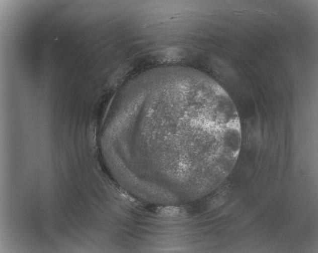 X0000062910230200601271747