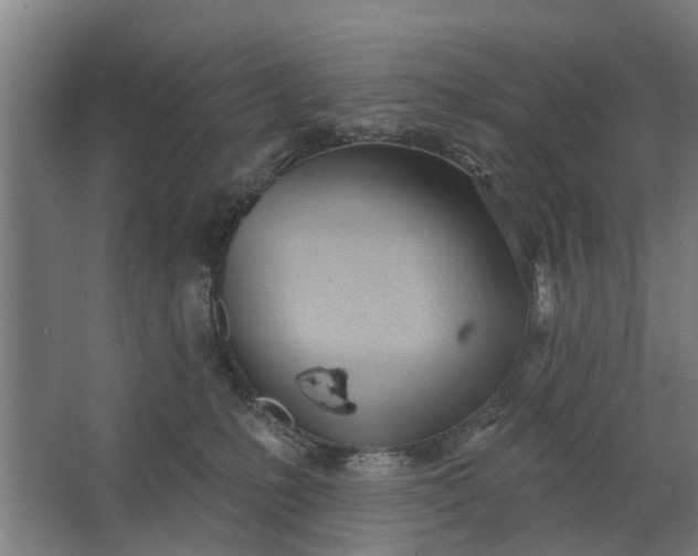 X0000062910231200601271747