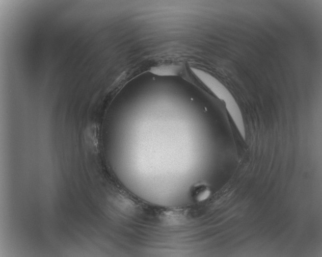 X0000062910232200601271747