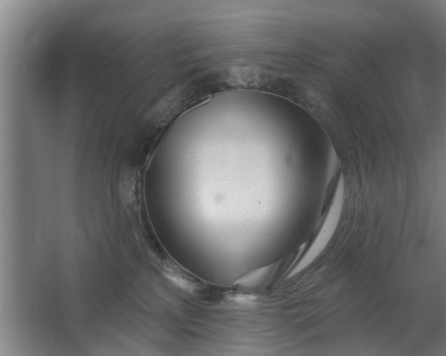 X0000062910233200601271747