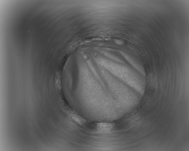 X0000062910234200601271747