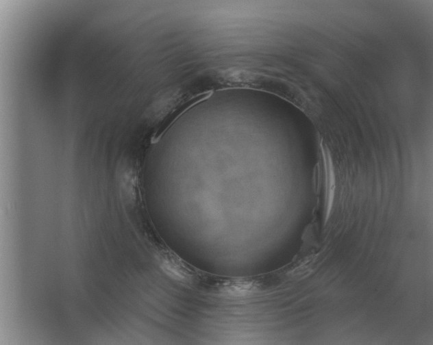 X0000062910235200601271747