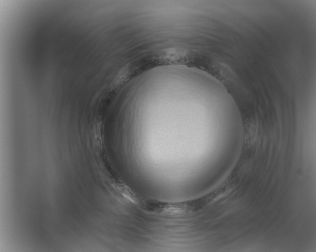 X0000062910236200601271747