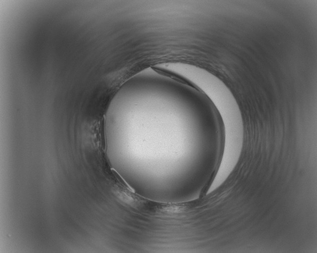 X0000062910237200601271747