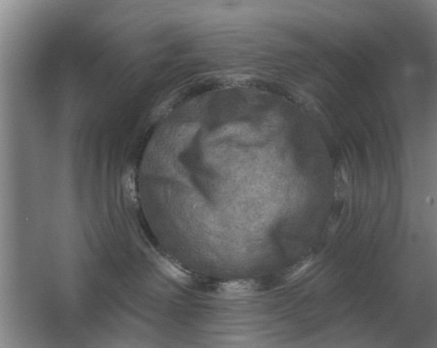 X0000062910238200601271747